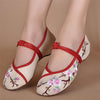 Chinese Style Embroidered Cloth Shoes