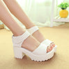 Platform Thick Heel Summer Women Shoes